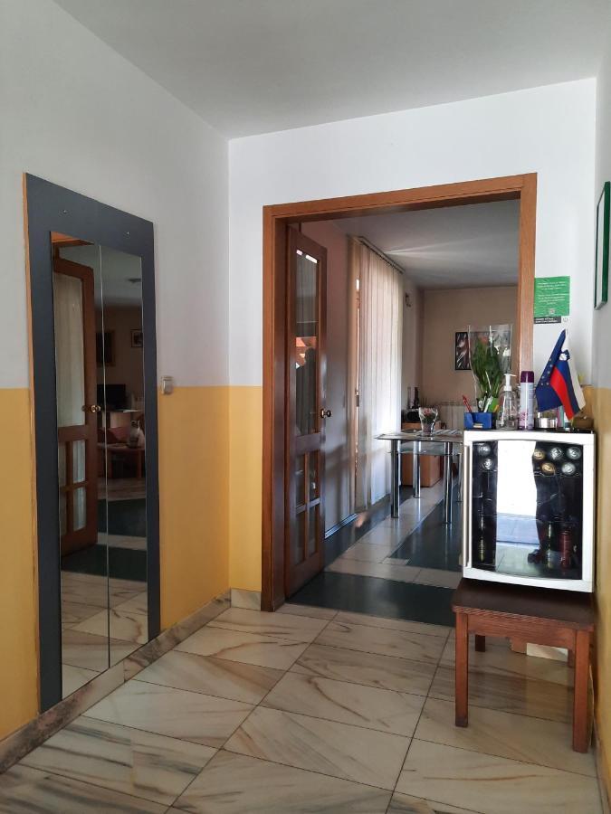 Rooms & Apartment Čehovin Postojna Buitenkant foto